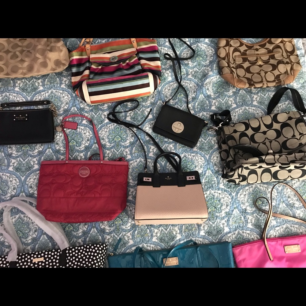 Meet your Posher, Molly